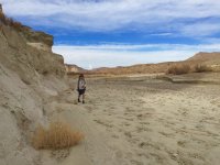 W50 are we there yet? Rick IMG_5904.jpg