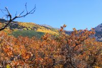 IMG_0967.jpg