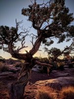 IMG_20180921_074232.jpg IMG_20180921_074232.jpg