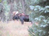 WeminucheLoop9.10-9.14.18 028.jpg