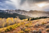 Fall Guardsman 9-20180054-recipe-sh-small.jpg