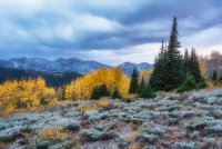 Fall Guardsman 9-20180124-recipe-sh.jpg