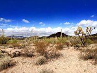 O5-Iphone-classic westrn setting-IMG_9084.jpg