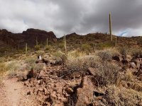 O10- little further on Bull Pastur trail-P2196568.jpg