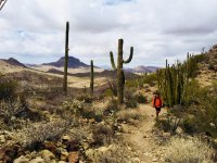 O11-Rick w a view towards Ajo Mountain drive-IMG_E9147.jpg