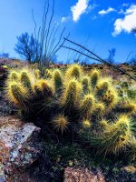 O16-like scuba diving-IMG_E9159.jpg