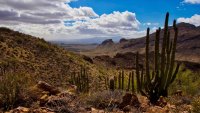 O17-view towards Ajo Mountain dr and the plains-P2196624.jpg