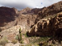 O20-towards the peak-darkening clouds-P2196641.jpg