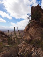 O22-Ajo drive below and dust kicking up P2196656.jpg
