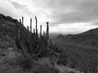 O27-Ajo drive and plains far out-P2196672.jpg