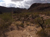 O36-almost back to car-P2196769.jpg