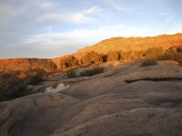 IMG_1332.jpg IMG_1332.jpg