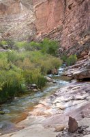 lowershinumoweb.jpg lowershinumoweb.jpg