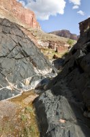 flint_littlegemsweb.jpg flint_littlegemsweb.jpg