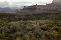 tonto_southfromtunaweb.jpg tonto_southfromtunaweb.jpg