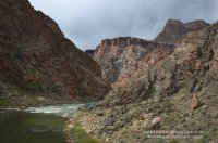 tunarapidweb.jpg tunarapidweb.jpg