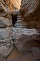 dragon_chockstonefallweb.jpg dragon_chockstonefallweb.jpg