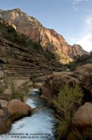 circlepoolsweb.jpg circlepoolsweb.jpg