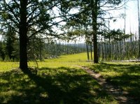 Yellowstone 05\' 036.jpg Yellowstone 05\' 036.jpg