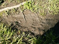 Yellowstone 05\' 035.jpg Yellowstone 05\' 035.jpg