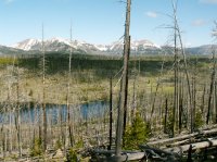 Yellowstone 05\' 028.jpg Yellowstone 05\' 028.jpg