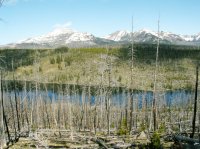 Yellowstone 05\' 029.jpg Yellowstone 05\' 029.jpg