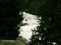 Yellowstone 05\' 053.jpg Yellowstone 05\' 053.jpg