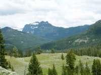 Yellowstone 05\' 066.jpg Yellowstone 05\' 066.jpg