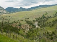 Yellowstone 05\' 070.jpg Yellowstone 05\' 070.jpg