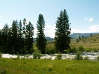 Yellowstone 05\' 078.jpg Yellowstone 05\' 078.jpg