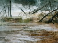 Yellowstone 05\' 080.jpg Yellowstone 05\' 080.jpg