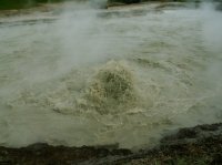 Yellowstone 05\' 099.jpg Yellowstone 05\' 099.jpg