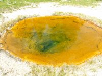 Yellowstone 05\' 106.jpg Yellowstone 05\' 106.jpg