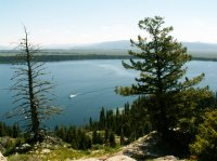 Yellowstone 05\' 176.jpg Yellowstone 05\' 176.jpg