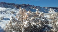 2012-12-25_Snow_scenes (2).jpg