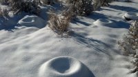2012-12-25_snow_tires.jpg