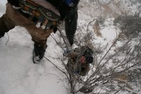 5 hand up .JPG 5 hand up .JPG