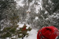 6 IMG_6190.JPG 6 IMG_6190.JPG