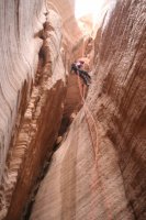 IMG_6237.JPG IMG_6237.JPG