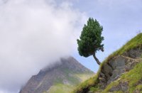 IMGP2430_1_30_29_28_01_1000.jpg IMGP2430_1_30_29_28_01_1000.jpg