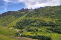 IMGP2449_7_8_01_1000.jpg IMGP2449_7_8_01_1000.jpg