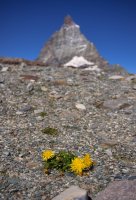 IMGP2526_2__1_01_1000.jpg IMGP2526_2__1_01_1000.jpg