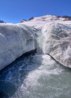 IMGP2546_2__1_01_1000.jpg IMGP2546_2__1_01_1000.jpg