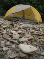 Wood Samples 927.JPG