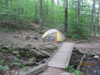 Wood Samples 382.JPG