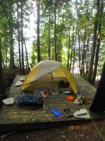 Wood Samples 990.JPG