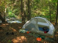 Wood Samples 609.JPG