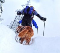 P1080790ed (Large).jpg