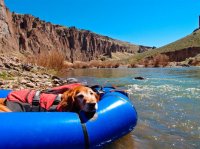 P4210179ed (Large).jpg