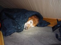 PA063474 (Large).JPG